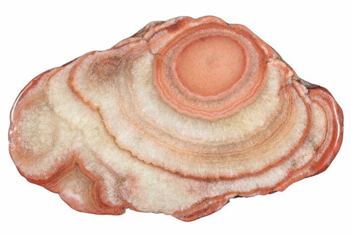 Polished Potato Agate Slice - England #283050